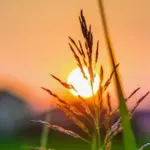 Detail Kecil di Pagi Hari yang Membuat Segalanya Terasa Lebih Ringan