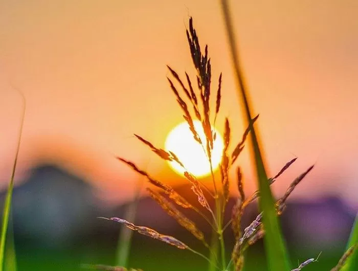 Detail Kecil di Pagi Hari yang Membuat Segalanya Terasa Lebih Ringan