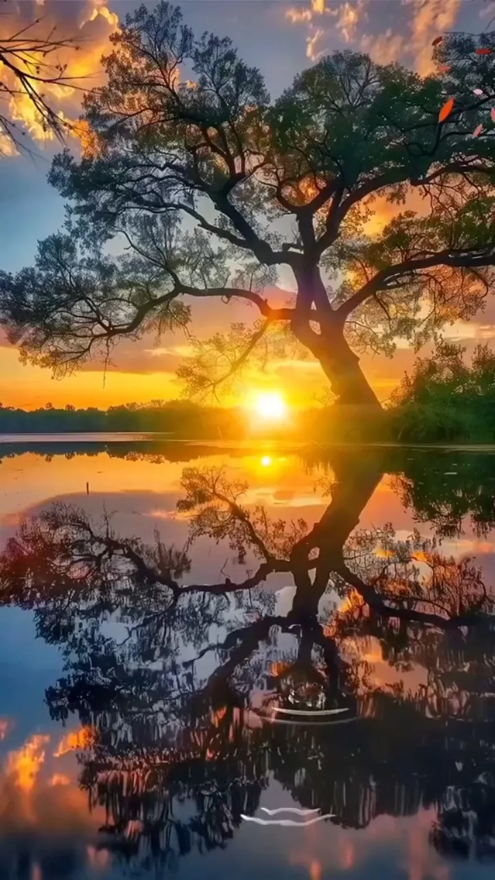 Rutinitas Kecil yang Membuat Awal Hari Terasa Lebih Ramah